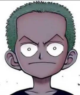 😐 Roronoa Zoro One Piece roronoa zoro, one piece, anime, manga, lustig, cartoon telegram sticker