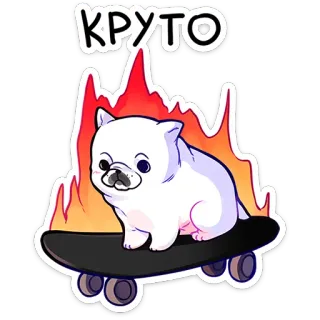 ⭐ КРУТО perro, patineta, guay, fuego, lindo, animal telegram sticker