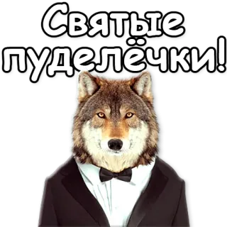 🙀 Святые пуделёчки! loup, anthropomorphe, chien, drôle, animal, smoking telegram sticker