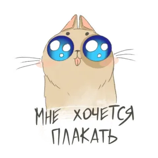 😢 МНЕ ХОЧЕТСЯ ПЛАКАТЬ Katze, süß, traurig, Tränen, weinen, Anime, kawaii whatsapp sticker