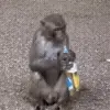 🍻