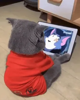 ❤️ cat, tablet, cartoon, tom and jerry, animation, watching, cute, animal whatsapp sticker