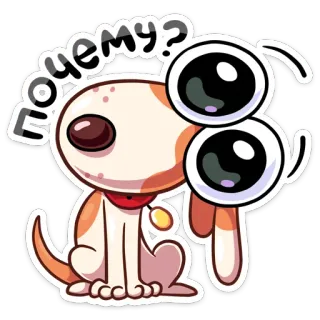 😳 ПОЧЕМУ? cane, cartone animato, occhi grandi, domanda, russo telegram sticker