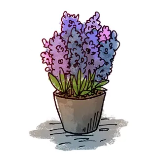 CakesAndFlowers whatsapp stickers