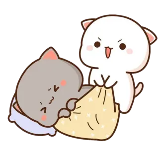 💈 Katzen, süß, Decke, Cartoon, schläfrig telegram sticker