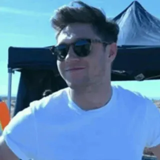 🌿 Niall Horan persona, cantante, celebridad, One Direction, Niall Horan telegram sticker