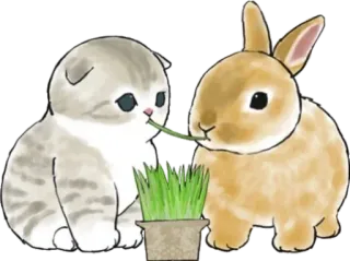 🌱 anak kucing, kelinci, kucing, kelinci, hewan, lucu, hewan peliharaan, persahabatan telegram sticker