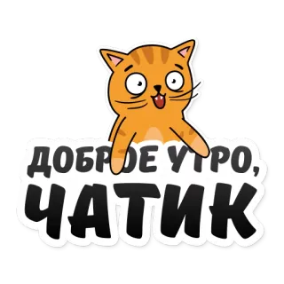 ☕️ ДОБРОЕ УТРО, ЧАТИК gatto, buongiorno, chat, russo, saluto telegram sticker