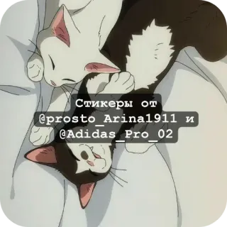 ❤ Стикеры от
@prosto_Arina1911 и
@Adidas_Pro_02 Katzen, Aufkleber, süß, Tiere telegram sticker