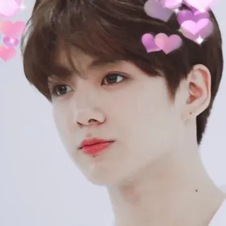 🌺 Jungkook kpop, jungkook, bts, cantor, idol, celebridade telegram sticker