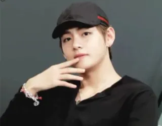 🍃 V zanger, idool, kpop, V, BTS, K-Pop, Koreaans telegram sticker