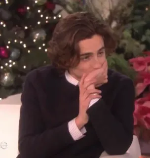 🦇 Timothée Chalamet actor, celebridad, Timothée Chalamet, hombre, entrevista telegram sticker