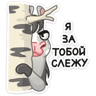 👀 Я ЗА ТОБОЙ СЛЕЖУ dessin animé, animal, vache, regarder, regardant, drôle telegram sticker