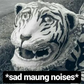 🎐 *sad maung noises* harimau, sedih, binatang, meme, lucu, patung whatsapp sticker