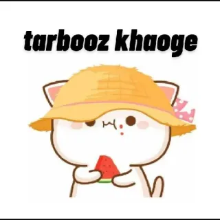 🍉 tarbooz khaoge gato, sandía, lindo, dibujos animados whatsapp sticker