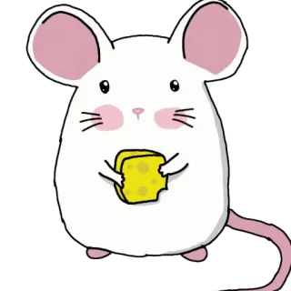 🐭 ratón, animal, dibujos animados, lindo, queso telegram sticker
