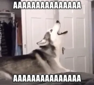😱 AAAAAAAAAAAAAAAA AAAAAAAAAAAAAAAA telegram sticker