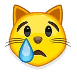 😿