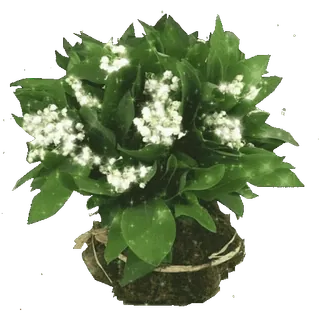 @creatioss Весна 🌸 telegram stickers