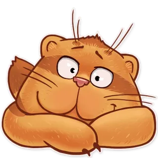 😇 cat, animal, orange, cute, cartoon whatsapp sticker