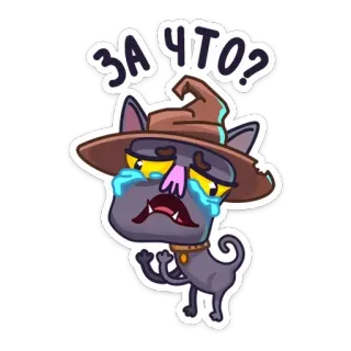 😢 ЗА ЧТО? gato, chorando, mago, desenho animado, adesivo, triste, tristeza whatsapp sticker
