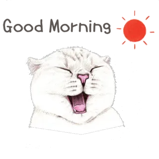 ☀ 고양이, 하품, 귀여운, 동물, 스티커 telegram sticker