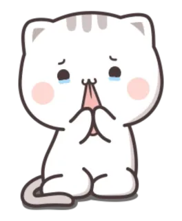 😢 kot, słodki, smutny, płaczący, błagalny, żebrzący, kreskówka telegram sticker