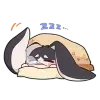 💤