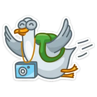 📷 animal, desenho animado, pássaro, pato, viagem, câmera, turista, voando whatsapp sticker