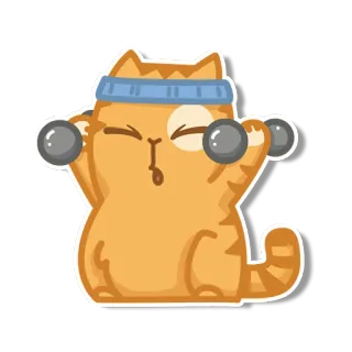 😫 gato, fitness, ejercicio, pesas, dibujos animados, lindo, naranja telegram sticker