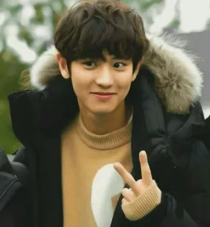 💙 kpop, asiático, signo de la paz, hombre, invierno, chaqueta telegram sticker