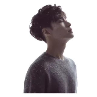 🙄 uomo, maglione, persona, profilo, ritratto, maschio, primo piano telegram sticker