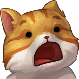 🙀 แมว, ตกใจ, ประหลาดใจ, สัตว์ตระกูลแมว, สัตว์, น่ารัก, สีส้ม telegram sticker