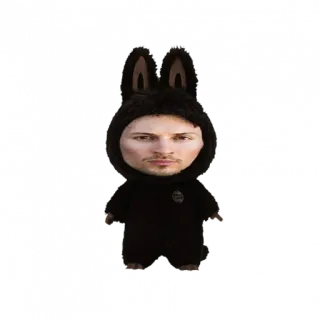🤨 thỏ, động vật, dễ thương, nhân vật, chân dung, hình dán telegram sticker