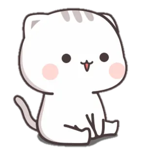 🐈 Katze, Kätzchen, Tier, süß, Aufkleber, Cartoon, weiße Katze whatsapp sticker