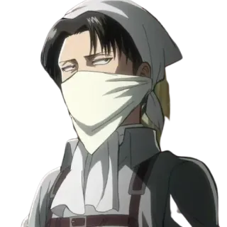 😒 Levi Ackerman Attack on Titan anime, attack on titan, levi, levi ackerman, cleaning, manga telegram sticker