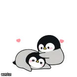 🐧 chim cánh cụt, dễ thương, động vật, tình yêu, kawaii, cặp đôi telegram sticker
