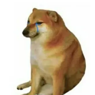 🥺 doge, cheems, meme, dog, crying, sad telegram sticker