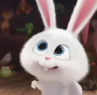 😡 Snowball The Secret Life of Pets conejo, lindo, dibujos animados, animal, blanco telegram sticker