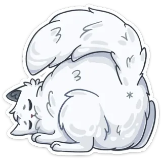 🍑 cat, sticker, animal, white, fluffy, cute, cartoon telegram sticker