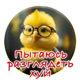 🤓 Пытаюсь разглядеть хуй птица, очки, русский, оскорбительный telegram sticker