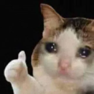 🐱 cat, sad, thumbs up, offensive gesture, meme telegram sticker