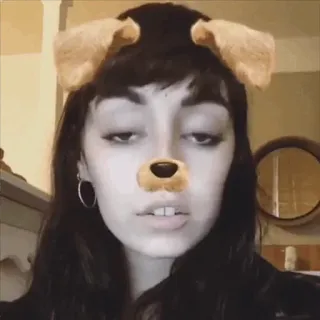 🌿 dog filter, face filter, dog ears, selfie, digital filter, animal ears telegram sticker