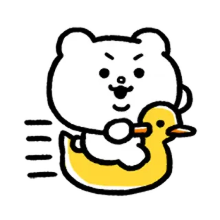 💨 クマ, アヒル, 漫画, 可愛い, 動物, イラスト, ステッカー telegram sticker