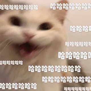 😂 哈哈哈哈哈哈哈哈
8080808808
哈哈哈哈哈哈哈
哈哈哈
哈哈哈哈哈哈
哈哈哈哈
哈哈哈哈哈哈哈哈
哈哈哈哈哈哈哈哈
哈哈哈哈哈哈
84848484848484 gato, meme, divertido, risa, texto, chino, animal telegram sticker