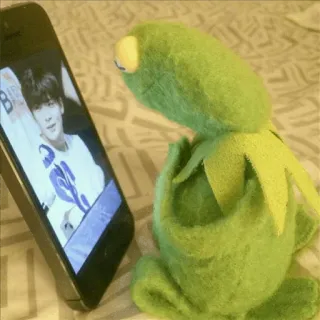 🐸 Kermit kermit o sapo, fantoche, meme, olhando celular whatsapp sticker