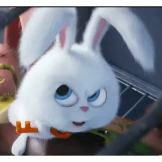 🧐 Snowball The Secret Life of Pets conejo, dibujo animado, animado, mascota whatsapp sticker