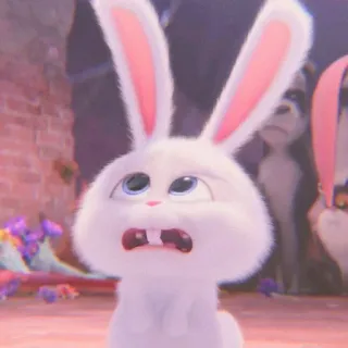 🐰 Snowball The Secret Life of Pets conejo, lindo, animal, conejito, dibujos animados, mascota, blanco telegram sticker