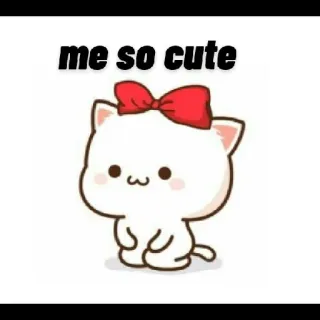 🙈 me so cute gato, lindo, adorable, kawaii, qué lindo whatsapp sticker
