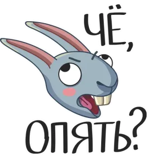 😙 Чё, опять? rabbit, cartoon, russian, question telegram sticker